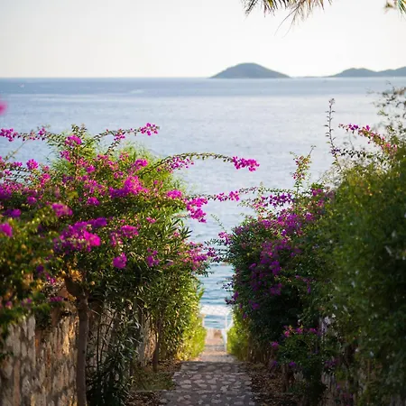 Kalkan Kalamar Plaji Denize Sifir Elana 1 Вилла *